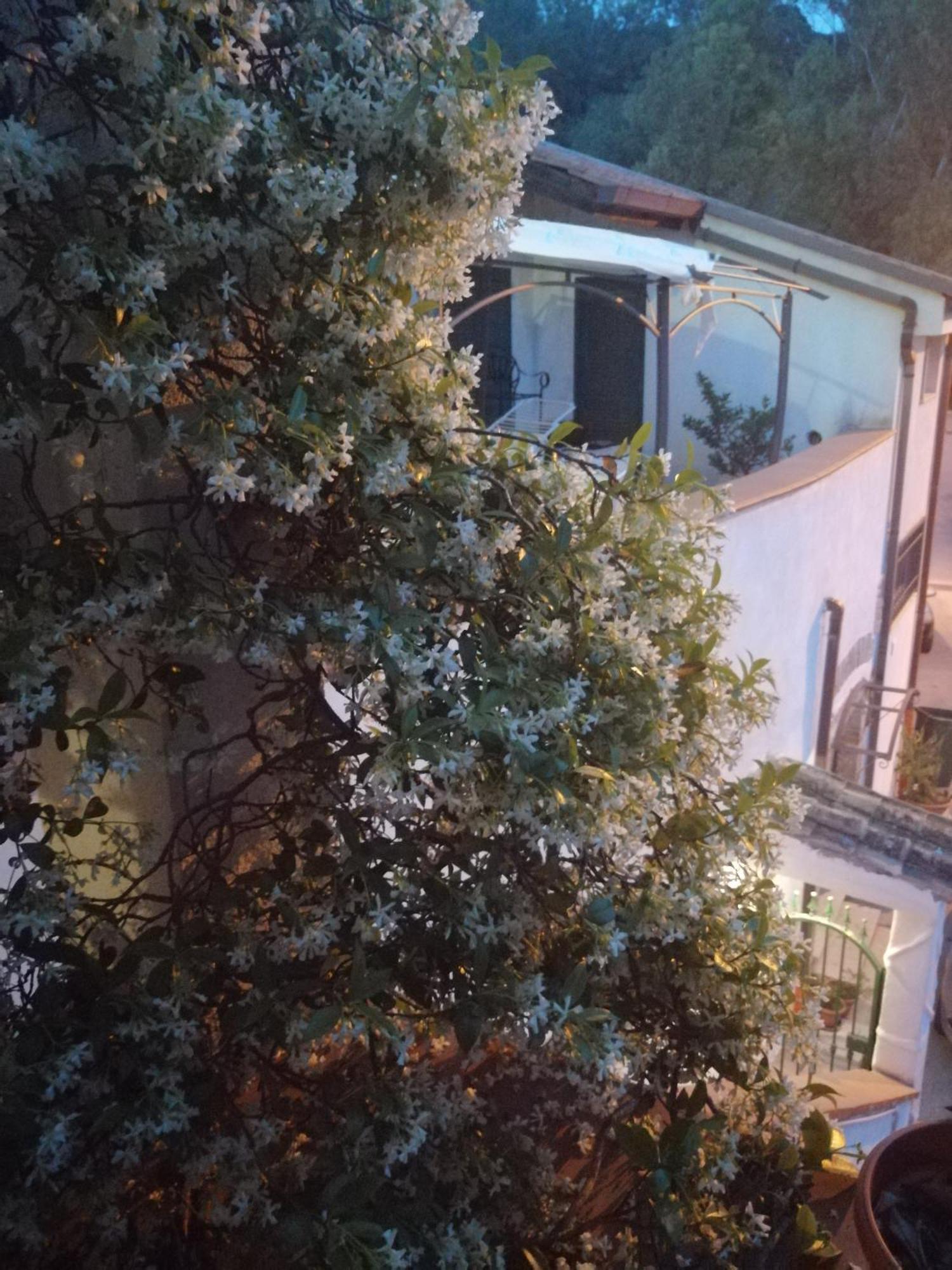 B&B Moscani Salerno Dış mekan fotoğraf